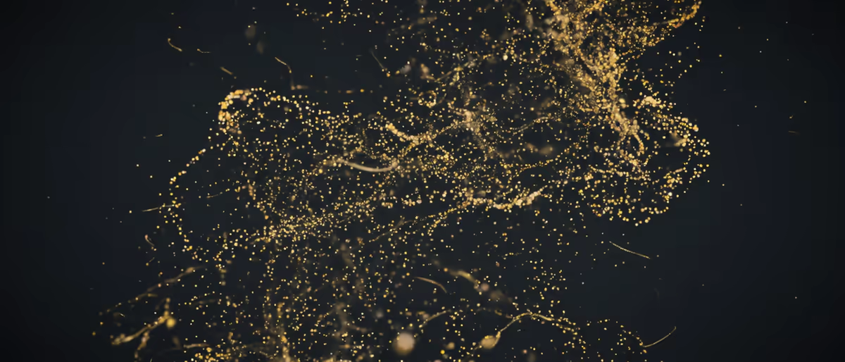 Soundtoys SpaceBlender: Imaginary Space, Not v2 (2026)
