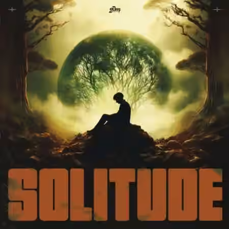 2DEEP BEATS Solitude [WAV, MiDi] - Sample Pack Artwork
