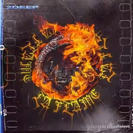 2DEEP La Flame [WAV] - Sample Pack Artwork