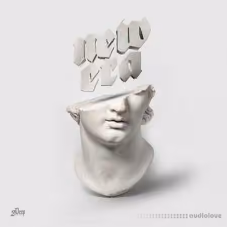 2DEEP New Era [WAV] - Sample Pack Artwork