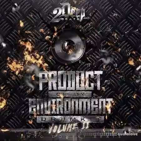 2DEEP Product Of My Environment Vol.2 [WAV] - Sample Pack Artwork