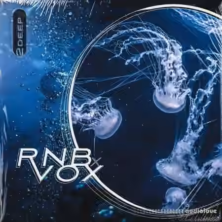 2DEEP RnB X Vox [WAV] - Sample Pack Artwork