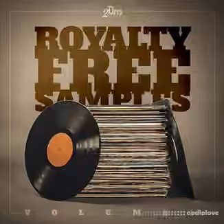 2DEEP Royalty Free Samples Volume 1 [WAV]