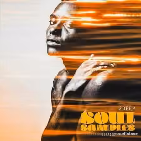 2DEEP Soul Samples [WAV] - Sample Pack Artwork