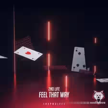 2nd Life Drumkit Vol.1 [WAV, Synth Presets] - Sample Pack Artwork