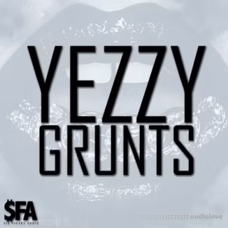 3 Digi Audio Yezzy Grunts [WAV, MiDi]