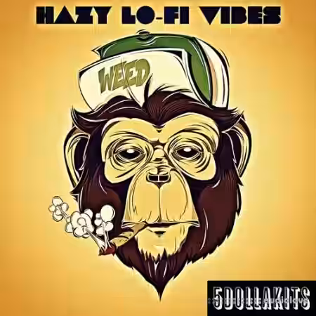 5DOLLAKITS Hazy Lofi Vibes [WAV] - Sample Pack Artwork