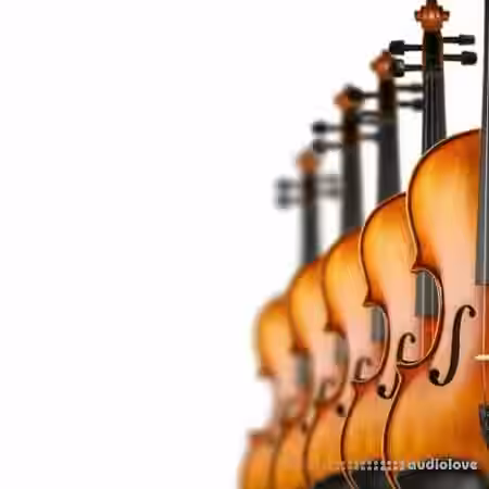 8Dio Deep Quintet Strings [KONTAKT] - Sample Pack Artwork