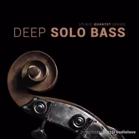 8Dio Studio Quartet Series Deep Solo Bass [KONTAKT]