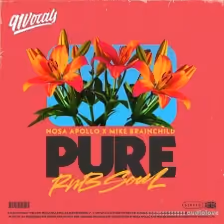 91Vocals Pure RnB Soul Nosa Apollo x Mike Brainchild [WAV] - Sample Pack Artwork