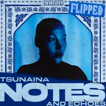 Aaroh TSUNAINA - Notes and Echoes [WAV] - Sample Pack Artwork