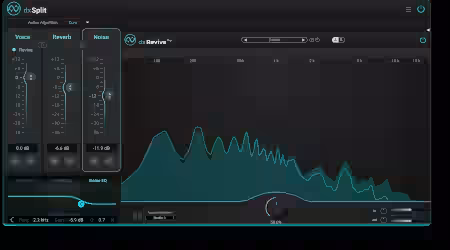Accentize dxSplit v1.0.1 U2B [MacOSX] - Sample Pack Artwork