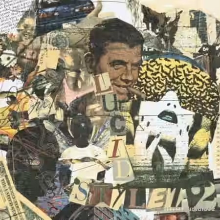 Acura Lucid Stylez Kit Vol.2 [WAV, DAW Templates] - Sample Pack Artwork