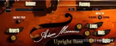 Adam Monroe Music Upright bass v1.3 [KONTAKT] - Sample Pack Artwork