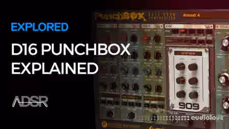 ADSR Sounds Exploring the D16 Punchbox [TUTORiAL] - Sample Pack Artwork