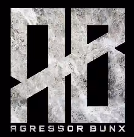Agressor Bunx Drum n Bass Samples Patreon Pack Vol.31-40 [WAV]