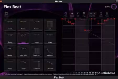 AIR Music Technology Flex v1.1.0 [MacOSX]