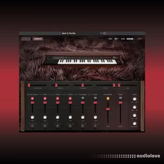 AIR Music Technology Solina v1.2.1.14 [WiN]