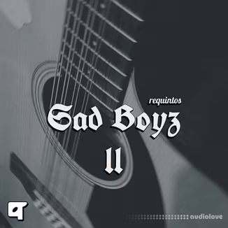 Akyai Requintos Sad Boyz ii [WAV]