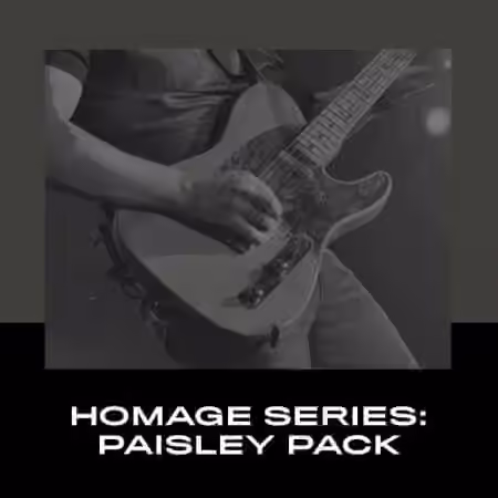 Alchemy Captures Homage Series Paisley ToneX Pack - Sample Pack Artwork
