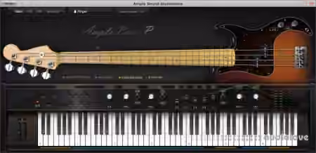 Ample Sound Ample Bass P v4.0.1 [WiN] - Sample Pack Artwork