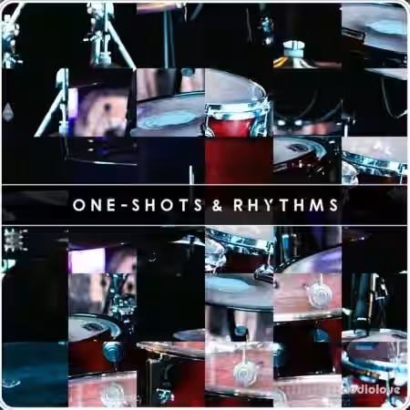 Analog Samples Drum Samples Oneshots and Rhythms [WAV] - Sample Pack Artwork