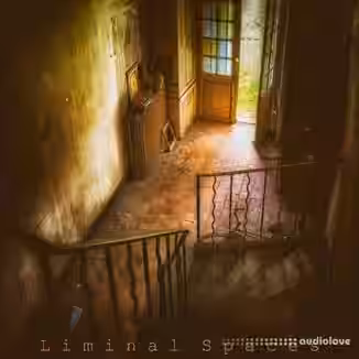 Analog Samples Liminal Spaces [WAV]