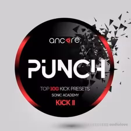 Ancore Sounds Punch [Synth Presets] - Sample Pack Artwork