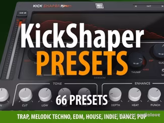 Andi Vax KickShaper Presets 66 Presets [Synth Presets]