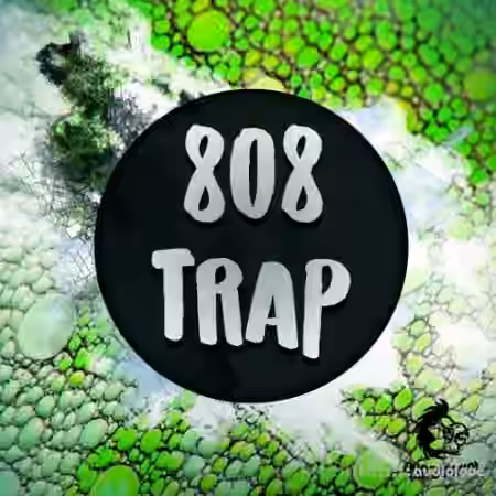 Angry Parrot 808 Trap [WAV, MiDi, Synth Presets] - Sample Pack Artwork