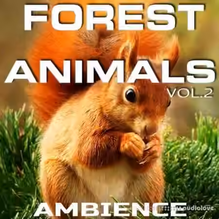 Animals Nature Sounds Forest Animals Ambience Vol.2 [FLAC] - Sample Pack Artwork