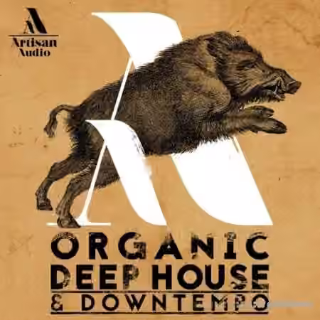 Artisan Audio Organic Deep House and Downtempo [WAV] - Sample Pack Artwork