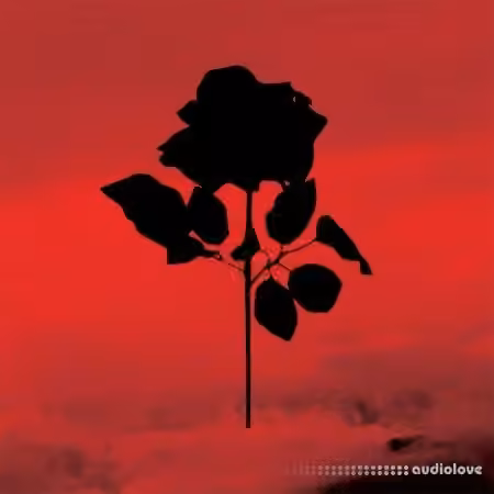 Arturia Presets Depeche Speak Tribute UNLOCKED [Synth Presets] - Sample Pack Artwork