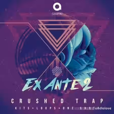 Asonic Ex Ante II [WAV] - Sample Pack Artwork