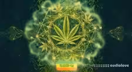 Atix Universe RASTA 528Hz v1.1.8 [WiN] - Sample Pack Artwork