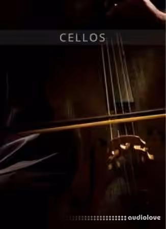 Auddict United Strings of Europe: Cellos [KONTAKT] - Sample Pack Artwork