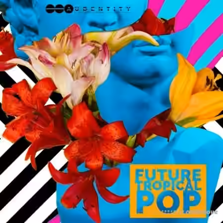 Audentity Records Future Tropical Pop [WAV, MiDi] - Sample Pack Artwork