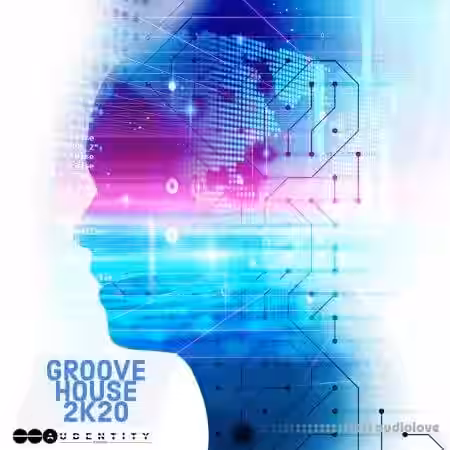 Audentity Records Groove House 2K20 [WAV] - Sample Pack Artwork