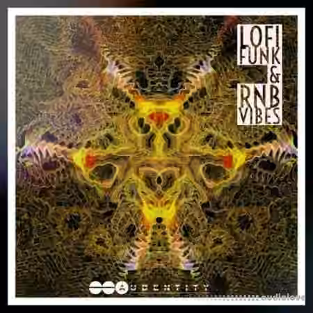 Audentity Records Lofi Funk x Rnb Vibes [WAV] - Sample Pack Artwork