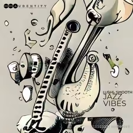 Audentity Records Lush and Smooth Jazz Vibes [WAV, MiDi] - Sample Pack Artwork