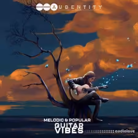 Audentity Records Melodic and Popular Guitar Vibes [WAV] - Sample Pack Artwork