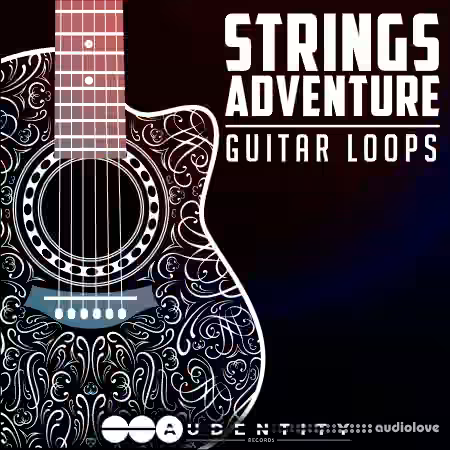 Audentity Records Strings Adventure [WAV] - Sample Pack Artwork