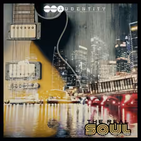 Audentity Records The Real Soul [WAV] - Sample Pack Artwork