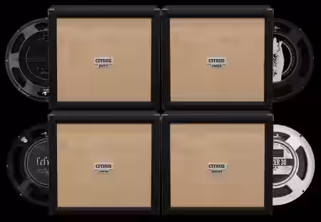 Audio Assault Seacow Cabs Citrus PPC412 Modern Amp Locker Cabs - Sample Pack Artwork