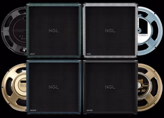 Audio Assault Seacow Cabs NGL 412XXL Amp Locker Cabs