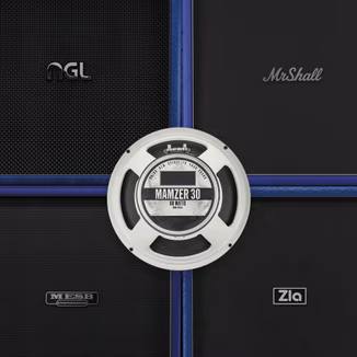 Audio Assault Seacow Cabs OVERSIZED BEASTS: MZR30 Amp Locker Cabs Presets IRs [Plugins Presets]