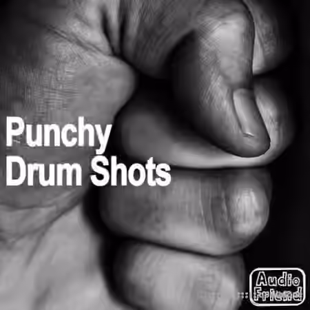 AudioFriend Punchy Drum Shots [WAV] - Sample Pack Artwork