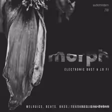 Audiomodern Morph [WAV] - Sample Pack Artwork