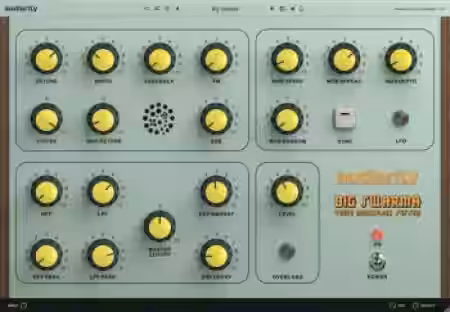 Audiority Big Swarma v1.0.1 [WiN] - Sample Pack Artwork