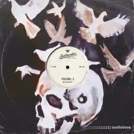 Authentic Music Library Vol.5 (STEMS) [WAV] - Sample Pack Artwork